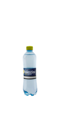 Palestine eau citronnée 50cl